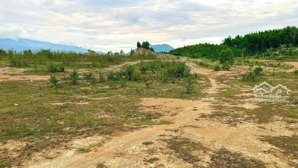 mở bán 3 lô đất full thổ cư tại xã khánh bình_khánh vĩnh.chỉ 575triệu/lô