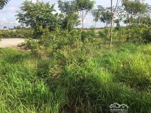 chính chủ bán nhanh 10 lô. hướng thọ phú, tân an, long an, giá hời 4,8 tỷ, tổng diện tích 1353,7m2