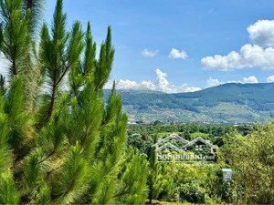 cần vốn xoay gấp bán đất 180m2, ven nam ban, view đồi cực chill