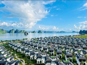 quỹ căn biệt thự, shoptel sẵn sổ, shophouse giá tốt nhất thị trường, đa dạng vị trí, nhận vận hành.