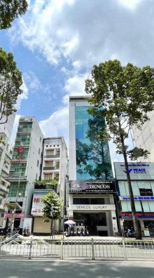 cho thuê tòa nhà mặt tiền trần hưng đạo trung tâm quận 1
