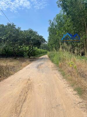 Bán đất đã lên skc 8550m2 gần KCN Giang Điền, Đồng Nai giá rẻ chỉ 29,5 tỷ