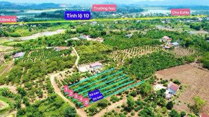 đất nền view cánh đồng mặt tiền bê tông 6m chỉ 289