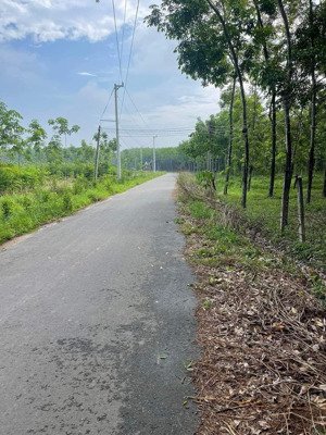 bán đất tại trừ văn thố, giá thỏa thuận, 300m2, chơn thành, bình phước, đẹp, tiện ích