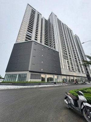 cập nhật quỹ căn chuyển nhượng chung cư wisteria - giá tốt nhất thị trường ngày t7/2025