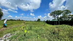 Cho thuê đất 23.000m2 nhánh Đặng Thúv Vịnh Hóc Môn
