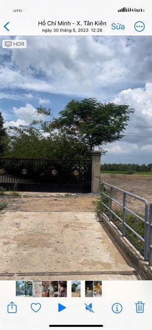 bán đất đường kênh 7, tân nhựt, bình chánh. dt 7000m2.