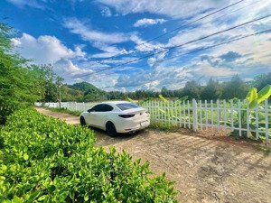 đạ lây-đạ huoai-lâm đồng. sổ sẵn-pháp lý chuẩn cách đường tỉnh đt 721 khoảng 500m. giá chỉ 279 tr