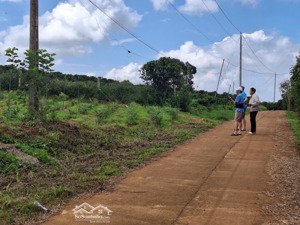 lâm hà- lâm đồng, nơi đồi chè và vườn cà phê trải dài bất tận bạn chỉ cần 719tr đã có lô đất đẹp