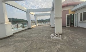 cho thuê shophouse 147 - 149 hoàng hoa thám, 300m2, giá siêu hời 60 triệu vnd