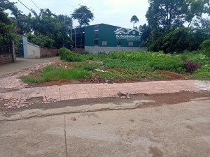 cc bán lô góc 2 mặt tiền đường ototránh thông tứ phía,hòa trúc phú cát,hn 251,2m tc 120m,giá 4,9tỷ