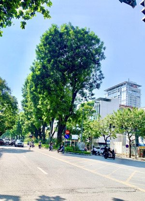 mặt phố mặt tiền rộng dân xây vỉa hè kinh doanh đỉnh - kim mã - sơn tây - giảng võ - lõi ba đình