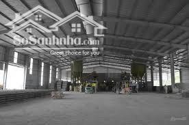 Cho thuê kho xưởng 5.500m2. Sản xuất đa nghề, Pccc vách tường, hồ sơ đầy đủ. Dĩ an, Bình Dương