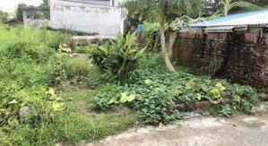 lô đất đẹp. sẵn sổ công chứng nhanh. 81m2 dược thượng - tiên dược - sóc sơn