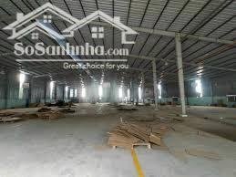 Cho thuê 3 kho xưởng 4000m2, 5500m2, gần Cầu Ông Bố - Thuận An