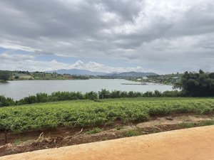 bán đất mặt hồ phúc thọ vị trí đẹp nhất khu vực