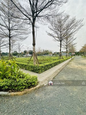 cực hiếm lô góc 284.9m2, đường 3 ô tô tại đồng vàng phú mãn, sát đhqg tại hoà lạc. chỉ 5,7 tỷ