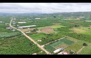 chính chủ bán đất đinh văn lâm hà lâm đồng 430 triệu 200m² sẵn thổ cư sổ riêng