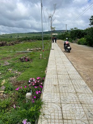 hot đất đinh văn lâm hà, lâm đồng, chỉ 430 triệu, 200m2 giá quá tốt