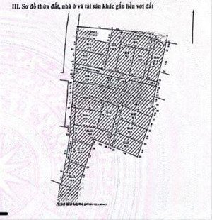 bán nhà mới xây tại an thọ, 5 tỷ, 31 m2, pháp lý đầy đủ, 10m ra đường 8m, 200m ra đại lộ thăng long