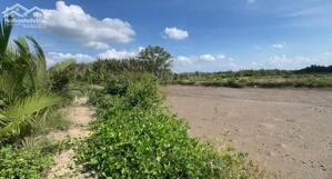 Chính chủ bán gấp đất mặt tiền sông rạch cá gấu lớn, đẹp