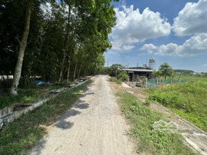 trang trại tân hiệp, hóc môn, 10x22=220m2, sổ hồng riêng, đường 8m, giá 950 triệu