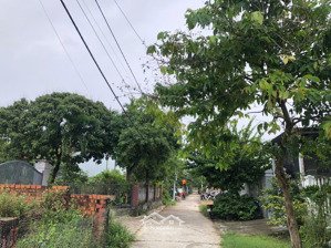 cần bán gấp đất kiệt ô tô thông mai đăng chơn, giá cực tốt