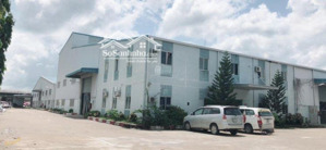cho thuê kho, xưởng tổng 14.000m2, kho 7000 m2, bãi 7000 m2 giá 630 triệu tại xã bình phú, bến tre