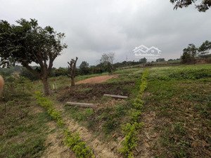 bán đất tại phường tùng thiện thành phố hà nội