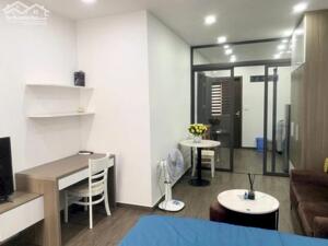 Căn hộ 1 ngủ có ngăn bếp cho thuê tại KĐT Waterfront