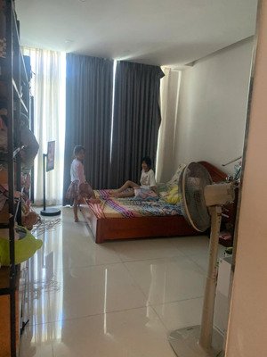 hxh ngay khu du lịch văn thánh nguyễn hữu cảnh p. 22 bình thạnh 3pn lớn