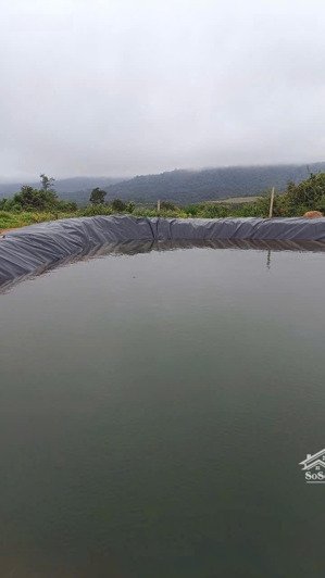 siêu phẩm có 102 diện tích 17 ha ngay gần thành phố pleiku
