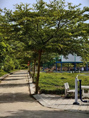 đất đẹp, giá rẻ - sau lưng chợ lệ trạch giá chỉ 650 tr - có không chốt mất tiếc ghê