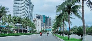 bán đất tại lâm hoành, phước mỹ, sơn trà, đà nẵng, 45 tỷ, 232m2, mặt tiền đẹp