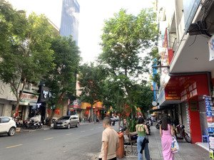 6 tầng thang máy, mặt tiền vip lê thị hồng gấm, dt 76m2, ngang 6.2m, cho thuê 1.8 tỷ/n, chỉ 48 tỷ