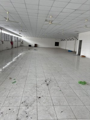 cho thuê kho, nhà xưởng 500m2 tại lũy bán bích, tân thới hòa, tân phú, giá siêu hời 40 triệu vnd
