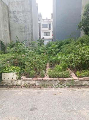 bán đất tại phường sở dầu, hồng bàng, hải phòng, 2,75 tỷ, 40 m2, view đẹp, nhiều tiện ích