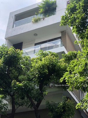 tòa nhà góc 3 mặt tiền . hầm + 6 lầu. mt đường hoa cau, phường 7, phú nhuận