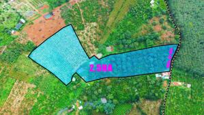  BÁN LÔ ĐẤT RẪY ĐẸP NHẤT KHU VỰC – CHỈ 4,5 TỶ – GẦN TRUNG TÂM TP GIA NGHĨA 