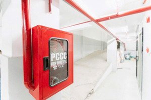 căn hộ dịch vụ dòng tiền 55 triệu/tháng, phạm văn bạch, tân bình, 5,5 x 20m = 115m2, 12 tỷ