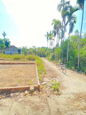 bán nhanh lô đất tại đại hiệp, đại lộc, quảng nam 490 triệu, 159.5m2, giá cực chất chính chủ