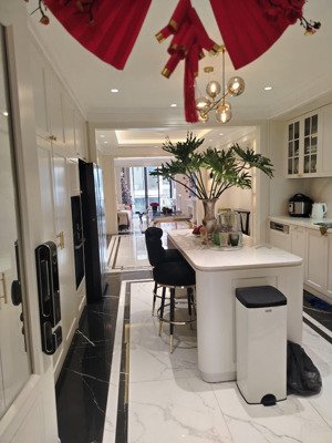 nhà đẹp mặt phố kinh doanh, yên lạc, hai bà trưng 91/100m, 7 tầng, mt 4.4m, giá 45 tỷ.