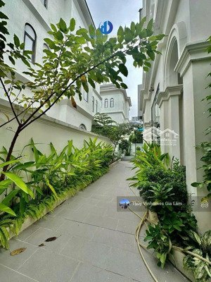 giá sốc! cho thuê căn biệt thự song lập 3 mặt thoáng, có thang máy. dt150m2 x4t. giá chỉ 18tr/th