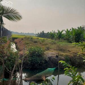 Bán đất lúa cặp kênh đường ô tô p5 tp tân an.long an ( Củ,)