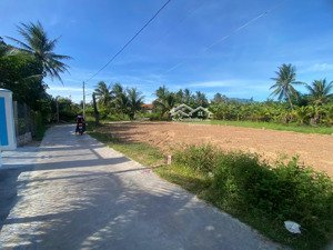 chính chủ mở bán giá f0 5 lô đất đẹp tại xã ninh phụng, ninh hòa