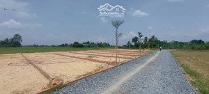 bán đất thổ cư 750tr/ 160m², sổ hồng riêng. đường bụi tre, hậu nghĩa, đức hòa