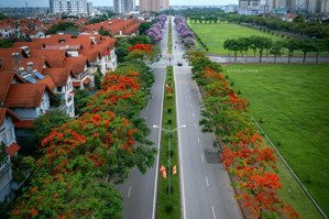 chủ nhà cần bán gấp căn bt nhà vườn việt hưng, long biên full nt siêu đẹp, chỉ từ 200tr/m2, sẵn sổ