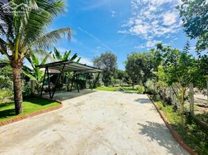 Vườn nhỏ 486m2 đường Thành Hồ Diên Phước, Đường nhựa rộng, sang tên nhanh chóng.