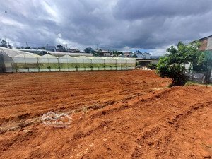 kẹt tiền cần bán gấp lô đất 1635m2 được chuyển full xây dựng, tương đương chưa tới 10 triệu/ m2