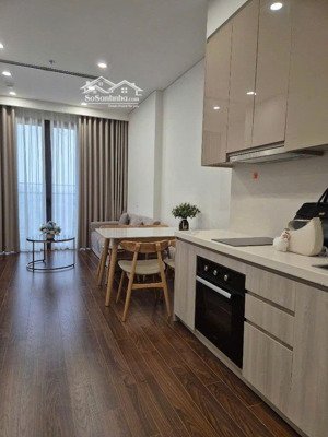 chính chủ cần bán cả 2 căn: 2pn, 55.2m2, 3 tỷ 630 cùng căn 2pn+, 64m2, 4 tỷ 250 vinhomes smart city